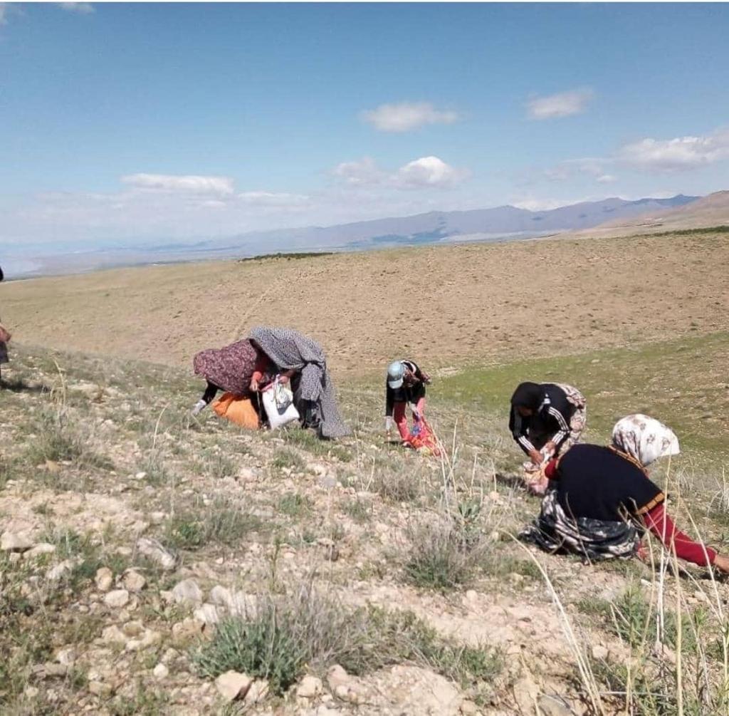 مشاغل خانگی 