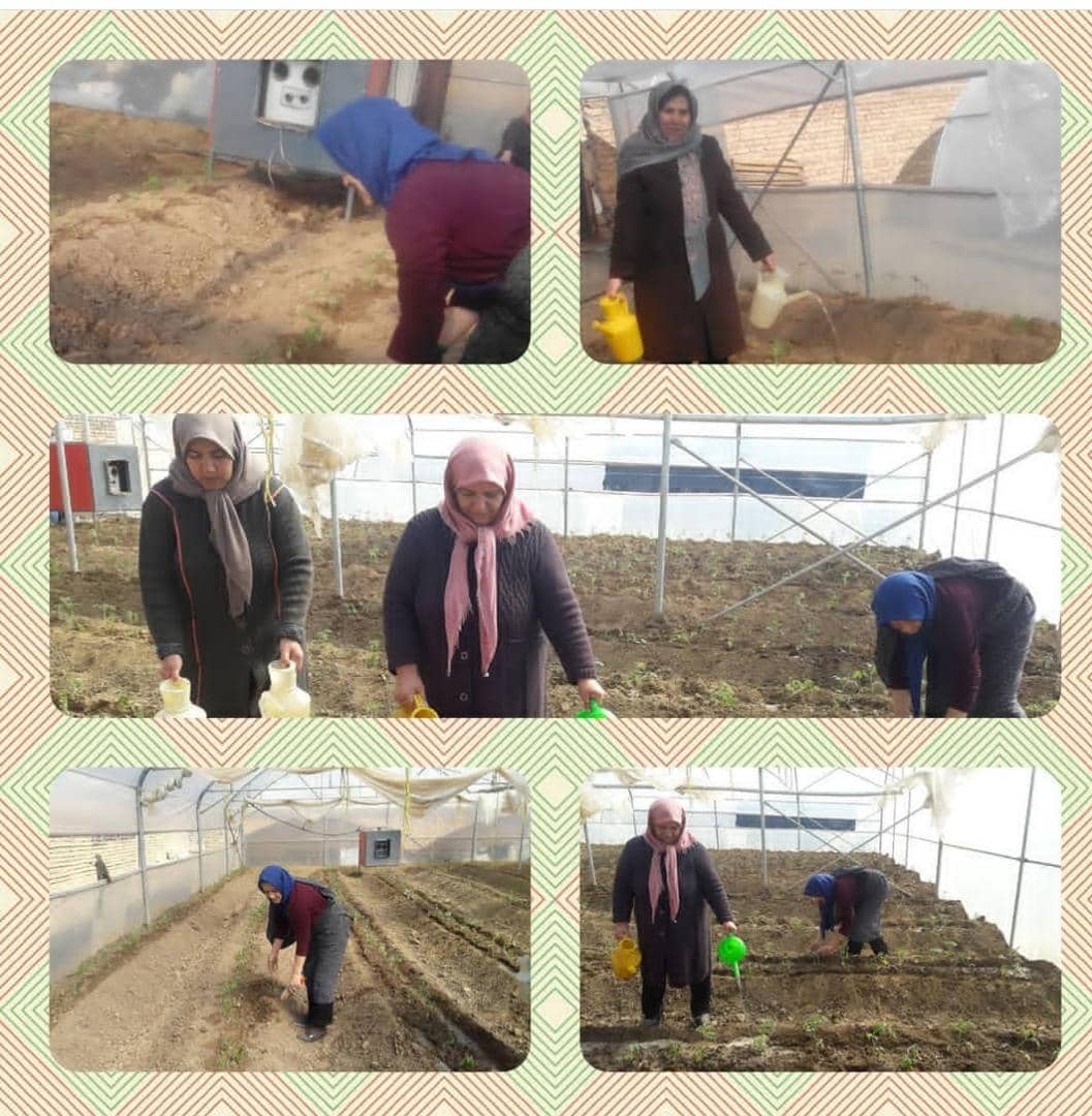 فعالسازی گلخانه تیل 