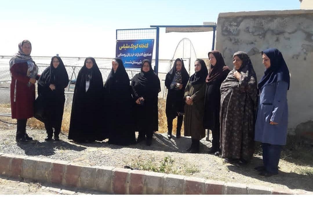 فعالسازی گلخانه تیل 