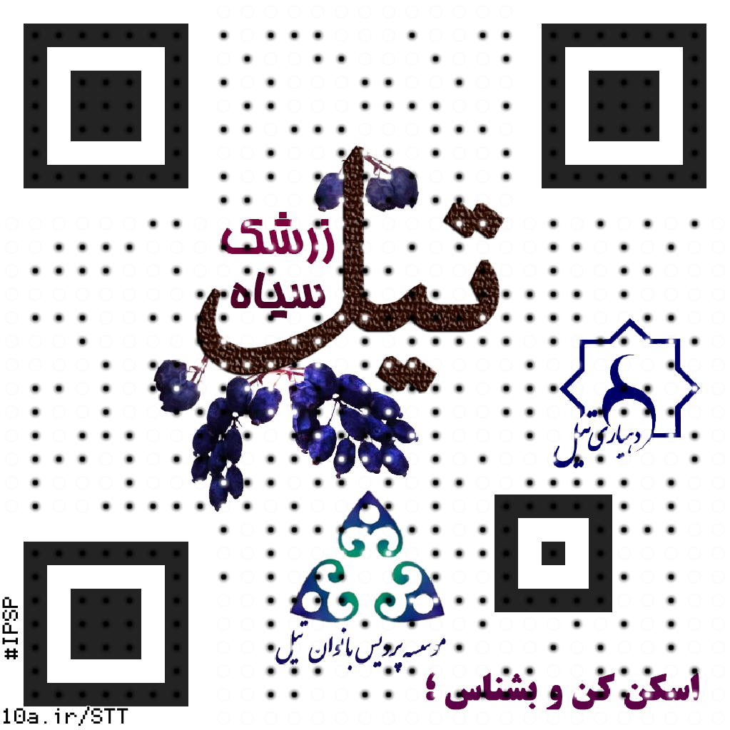 حضور موسسه پردیس بانوان تیل در  پانزدهمین نمایشگاه گردشگری تهران 