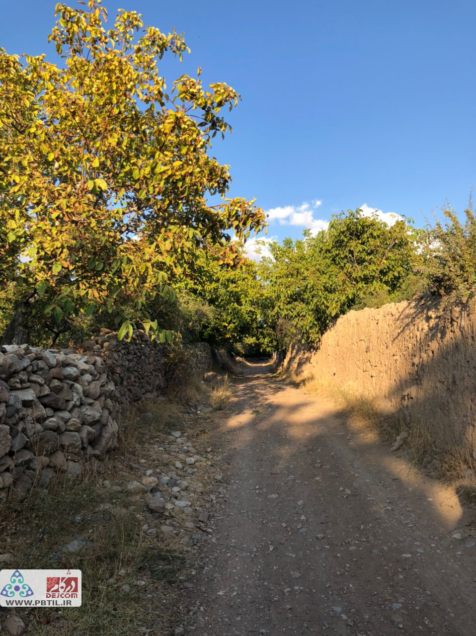 باغات  ین کهریز