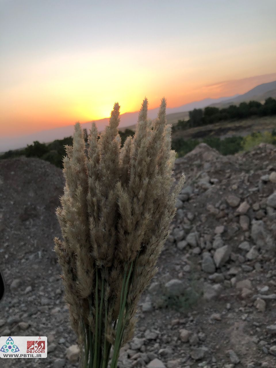 قزل قویولار تیل 