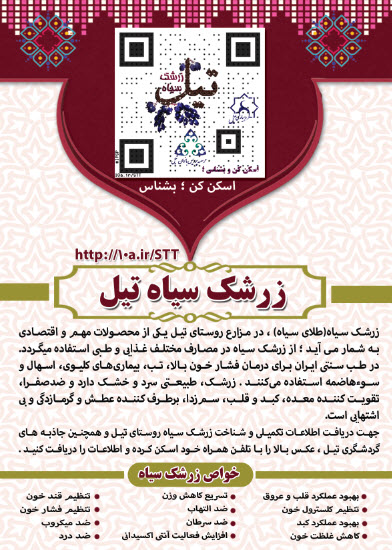 معرفی زرشک سیاه تیل در نمایشگاه گردشگری